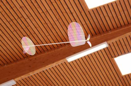 F1D Modell in aktion